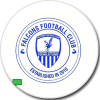 FALCONS FC nwt