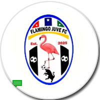 FLAMINGO JUVENTUS FC